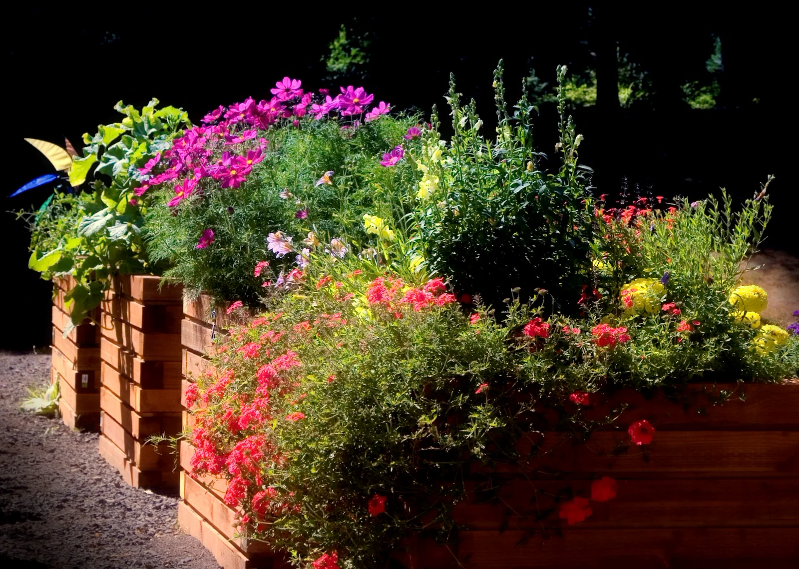 Image of Mary's Woods (10)