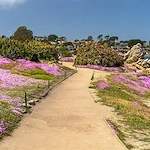 Image of Canterbury Woods Senior Living (5)