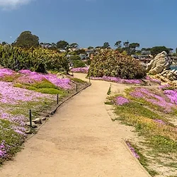 Image of Canterbury Woods Senior Living (5)