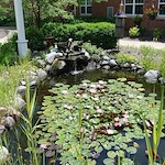 Image of The Supportive Living Community at Tabor Hills (4)