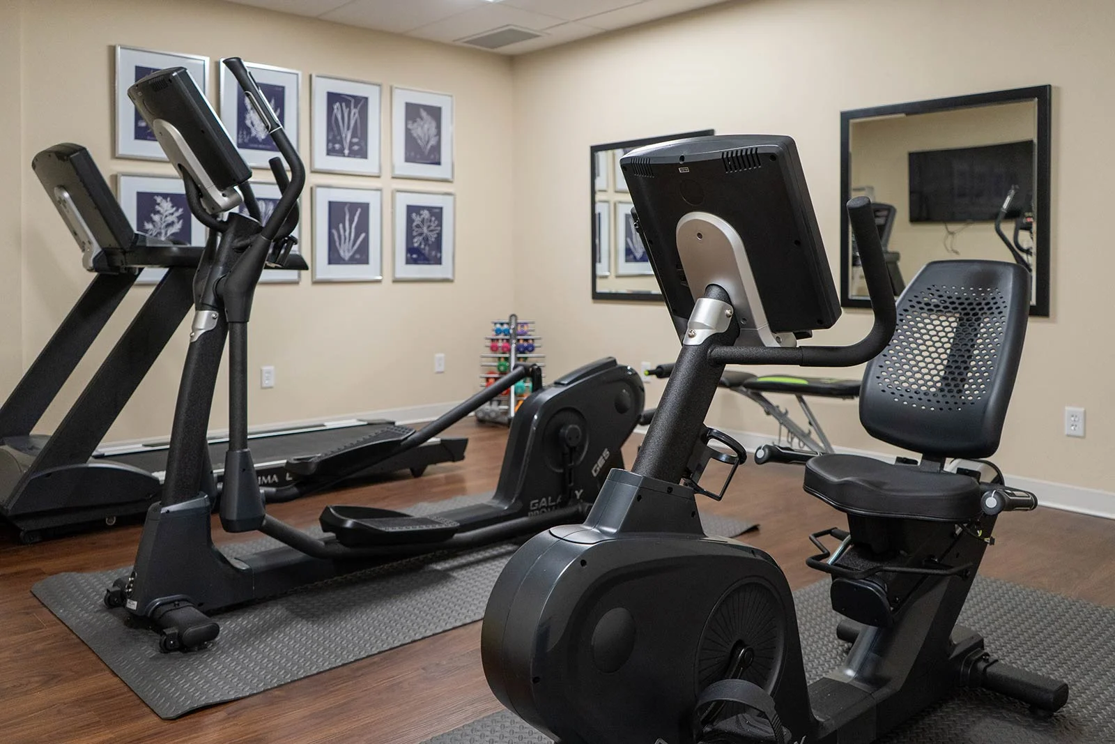 Image of Seagrass Village Panama City Beach (7)