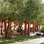 Image of Retirement Ranch (6)