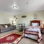 Image of Spring Oak at Christianburg (6)