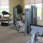 Image of Miller's Merry Manor Garrett (3)