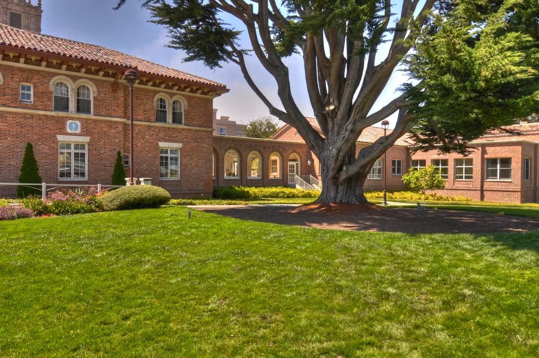 Image of The Ivy Golden Gate (2)