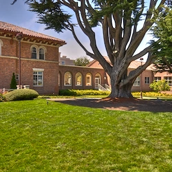 Image of The Ivy at Golden Gate (2)