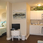 Image of The Opal at Spring Hill (8)