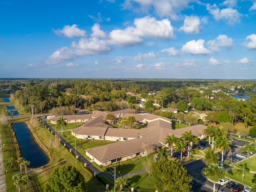 Image of North Port Pines (3)