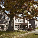 Image of Country View (1)