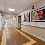 Image of Bella Terra Lombard (5)