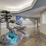 Image of Cypress Palms (9)