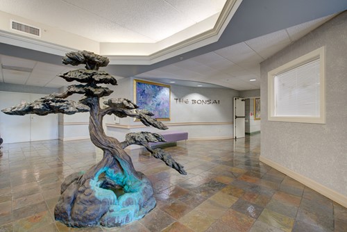 Image of Cypress Palms (9)