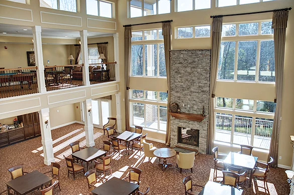 Image of Rain Forest Landings (4)