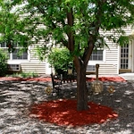Image of Residence at Grand Mesa (1)
