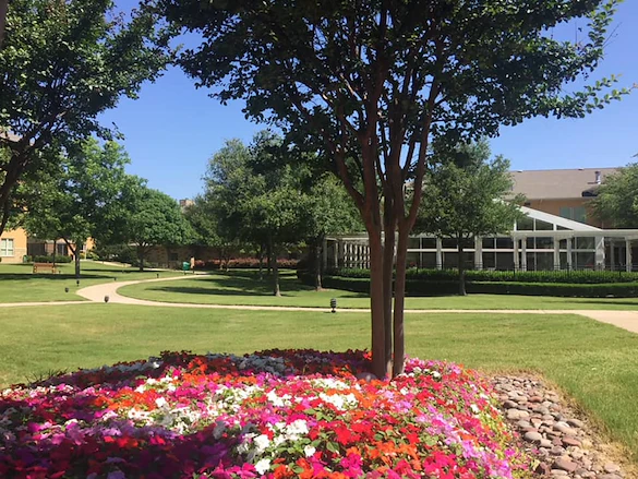Image of Highland Springs Senior Living (7)