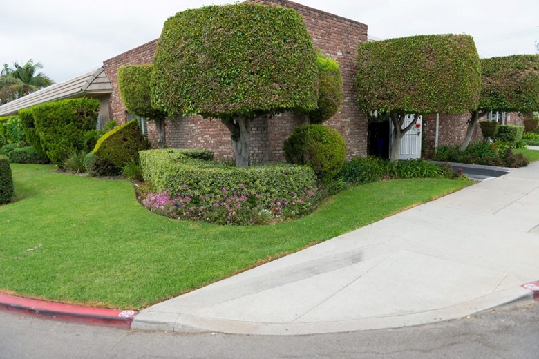 Image of Bay Vista Healthcare & Wellness Centre (1)