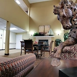 Image of Woodland by Bonaventure (4)