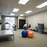 Image of Treeo - Orem (4)