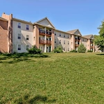 Image of Tall Trees (2)