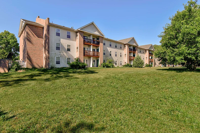 Image of Tall Trees (2)