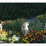 Image of Abundant Acres Care And Rehab (4)