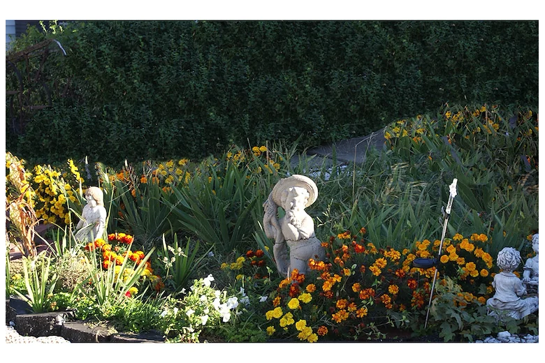 Image of Abundant Acres Care And Rehab (4)