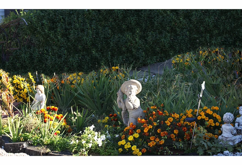 Image of Abundant Acres Care And Rehab (4)