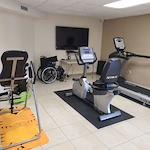 Image of Lilac Senior (7)