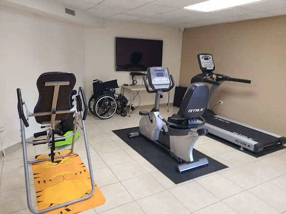 Image of Lilac Senior (7)