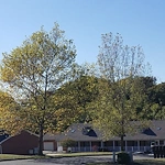 Image of Timber Woods (2)