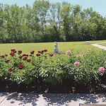 Image of Highview In The Woodlands (7)