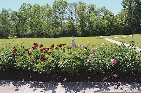 Image of Highview In The Woodlands (7)