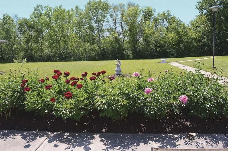 Image of Highview In The Woodlands (7)