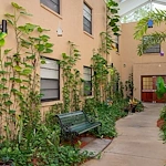 Image of Salterra at Pinellas Park (7)