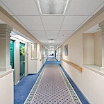 Image of Spring Hills Singing Woods (5)