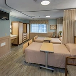 Image of Elderwood Of Scallop Shell At Wakefield (3)