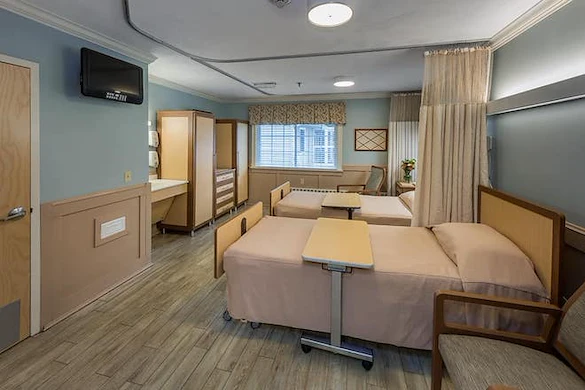 Image of Elderwood Of Scallop Shell At Wakefield (3)