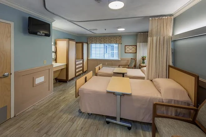 Image of Elderwood Of Scallop Shell At Wakefield (3)