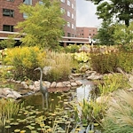 Image of Whitney Center (2)