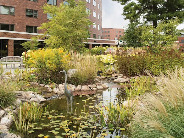 Image of Whitney Center (2)