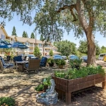 Image of Truewood by Merrill, Roseville (2)