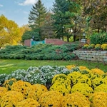 Image of Juniper Village at Brookline Independent Living (1)