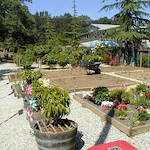 Image of Eskaton Lincoln Manor (3)