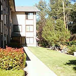 Image of Casa de Piños (2)