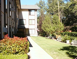 Image of Casa de Piños (2)