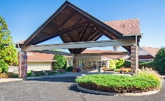 Image of Truewood by Merrill, Glen Riddle (1)