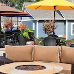 Image of The Cedars of Dexter (1)