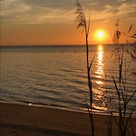 Image of Eastern Shore Rehab & Health Center (2)