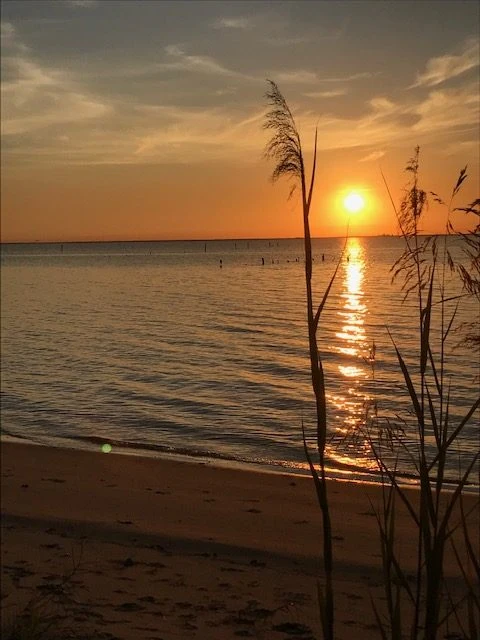 Image of Eastern Shore Rehab & Health Center (2)