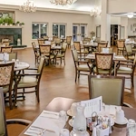 Image of Cherry Laurel - Sky Active Living (3)